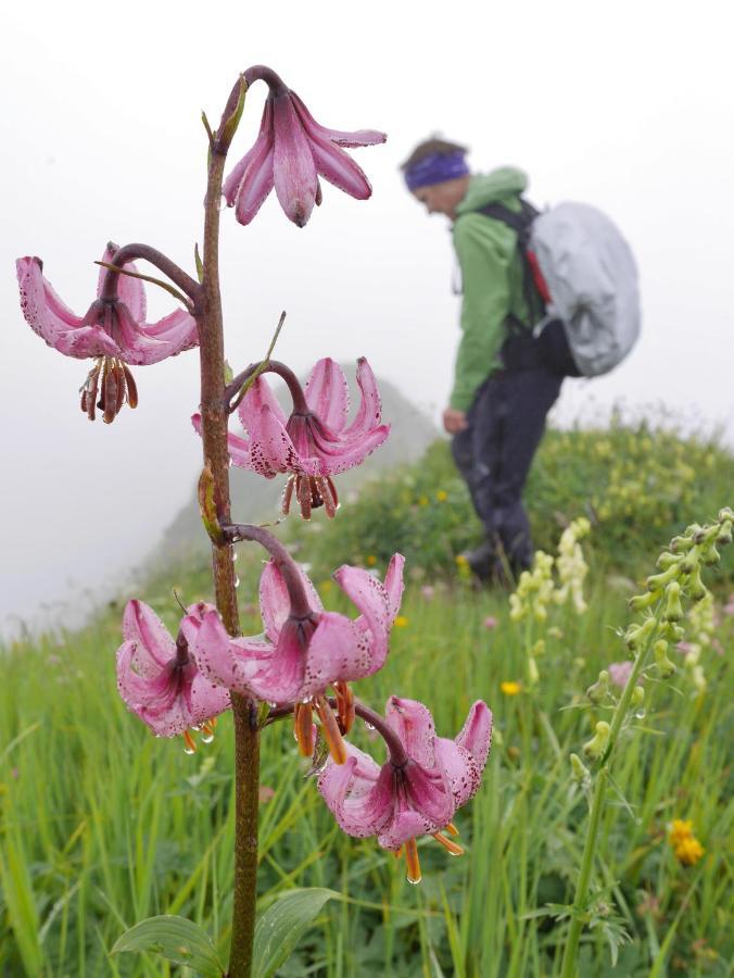 Urlaub Bei Moses Lejlighed Schoppernau Eksteriør billede